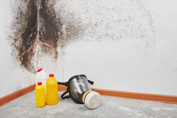 Best Post-Remediation Services in Tariffville, CT