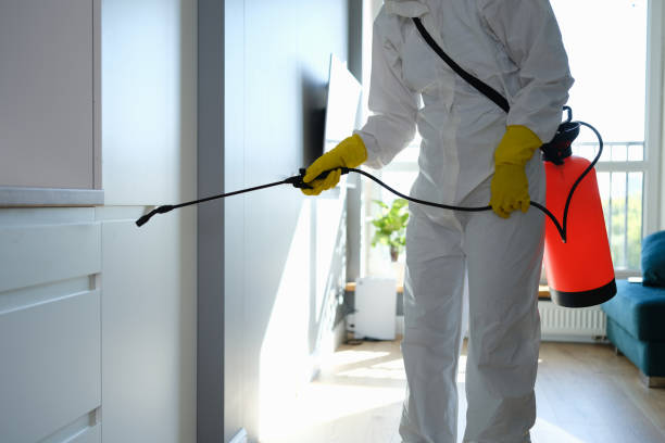 Professional Mold Remediation in Tariffville, CT