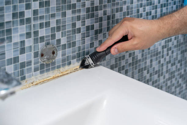 Best Bathroom Mold Remediation in Tariffville, CT