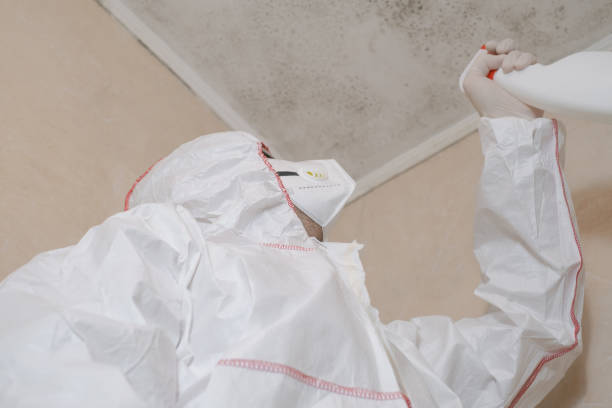 Best Mold Remediation for Specific Building Types in Tariffville, CT